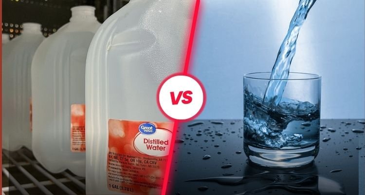 What is the Difference Between Distilled Water and Purified Water?