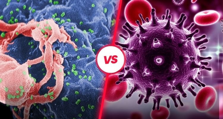 What is the Difference Between HIV and AIDS?