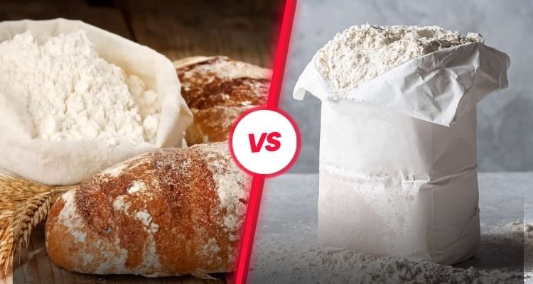 what is the difference between bread flour and all purpose flour