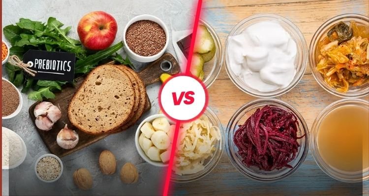 what is the difference between prebiotics and probiotics