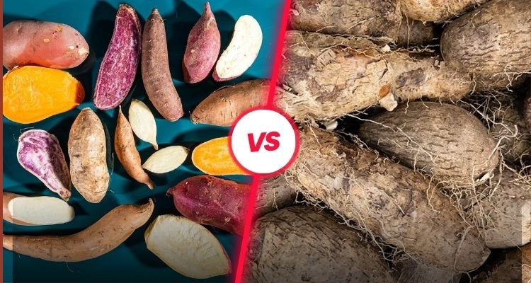 What is the Difference Between Sweet Potatoes and Yams?