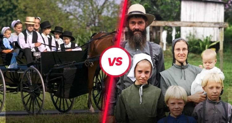 what is the difference between amish and mennonite