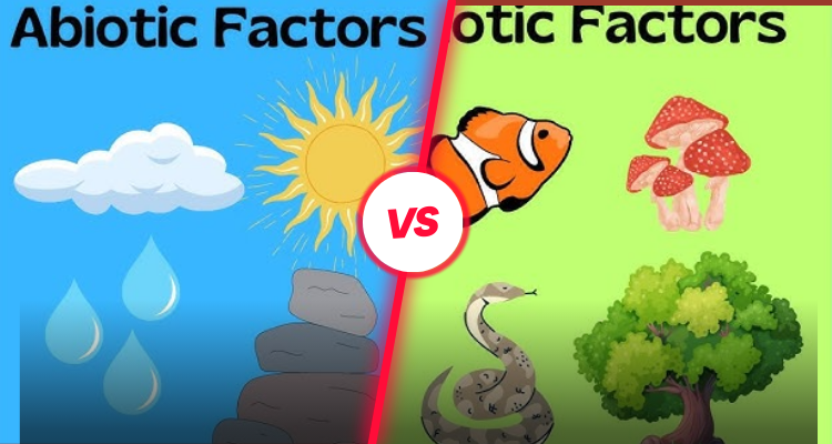 What is the Difference Between Biotic and Abiotic Factors?